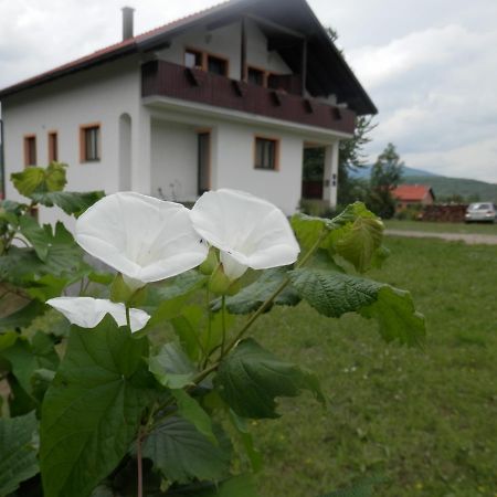 Guesthouse Matija Irinovac Εξωτερικό φωτογραφία